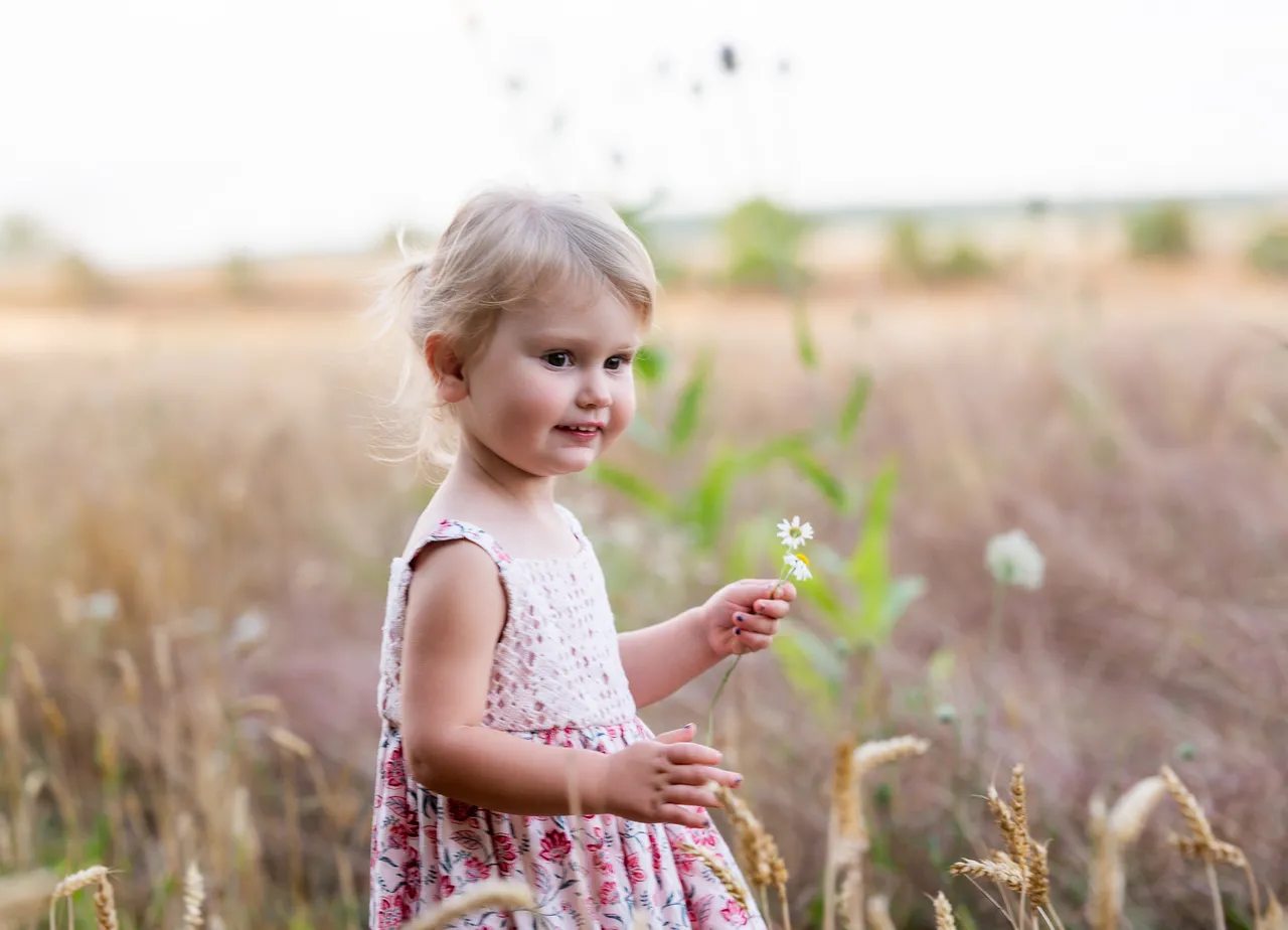 photographe de famille a nancy et toul photo enfant dans les champs