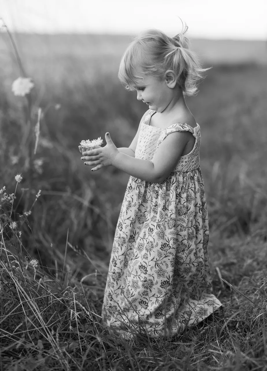 photographe de vos enfants a nancy photos dans les champs