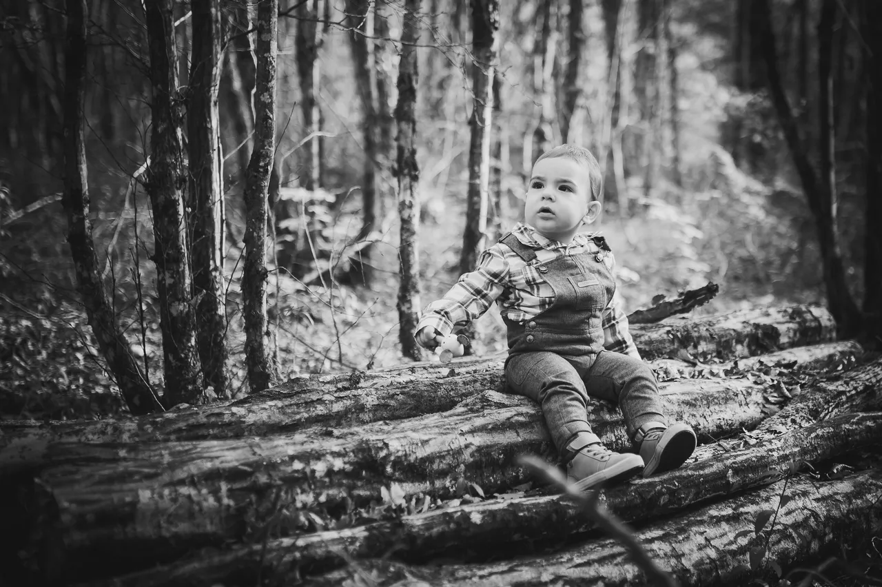 photographe enfants neufchateau photo en foret