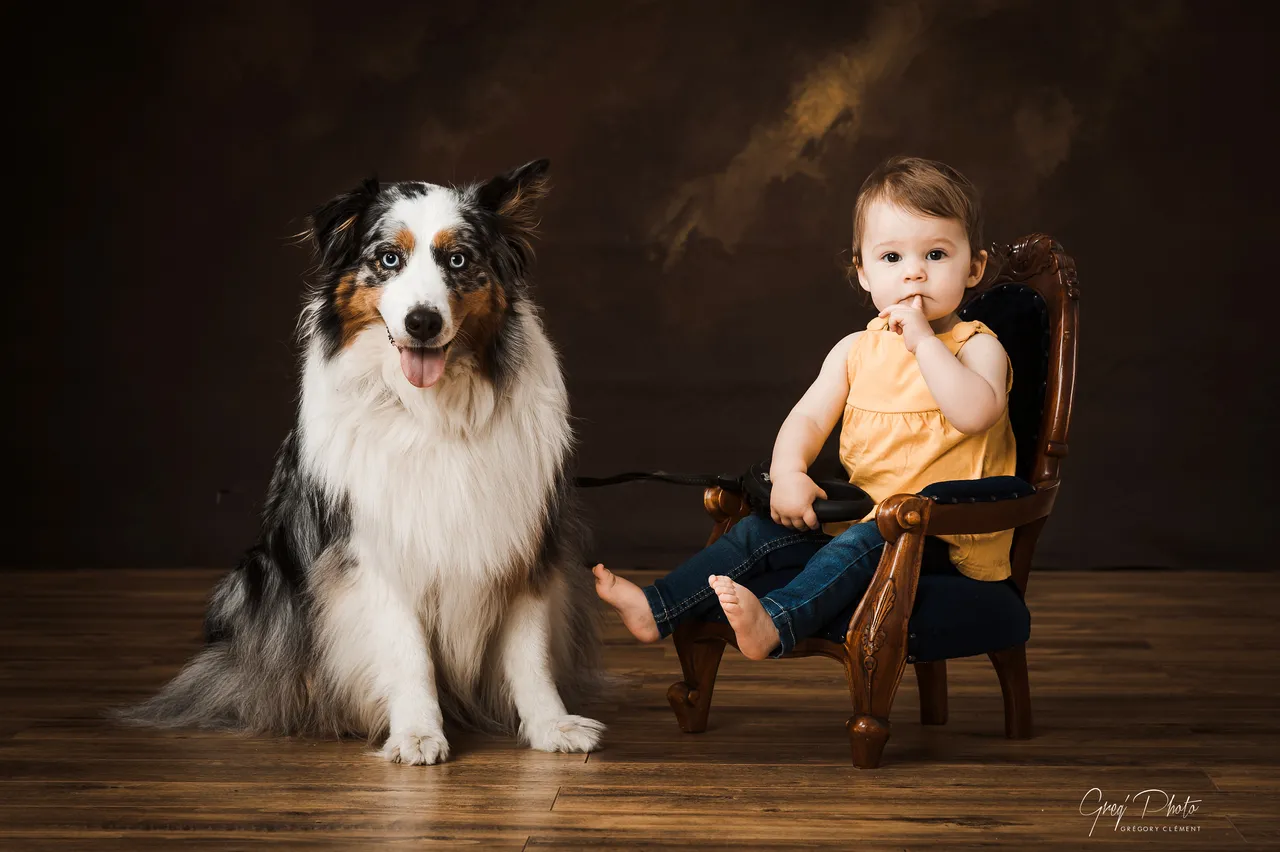 shooting photos animalier famille studio photo nancy