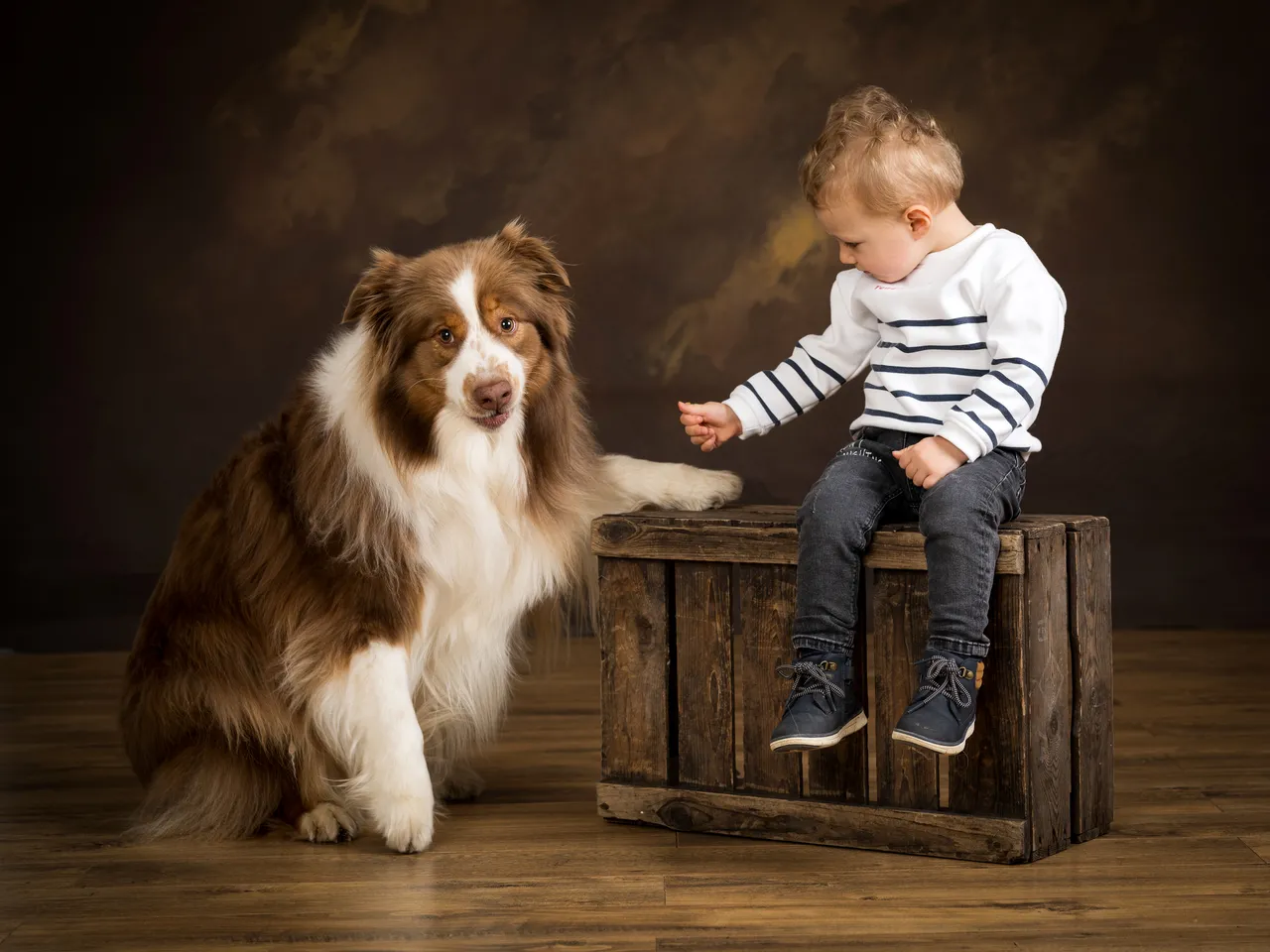 studio photo a nancy. Seance photos enfant et son chien